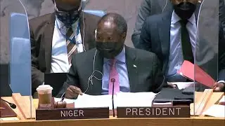 Russia vetoes UN resolution on climate change as threat to global security | AFP