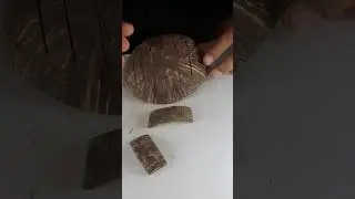 COCONUT SHELL SOAP DISH MAKING | ASMR😲  #asmr #coconut #diy #shorts