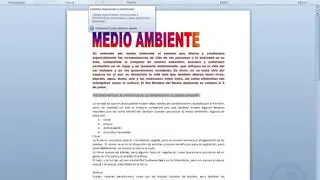 Formato Fuente Word