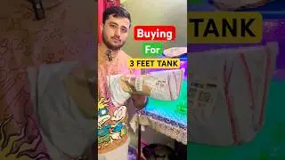 Buying For 3 Feet Tank #boimedia #fishtank #fishing #ceramicring #aquarium #shorts #viral #Aquaworld