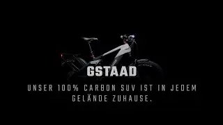 GSTAAD  I   100% Carbon SUV e-Bike   I   e-FRAMER Modell 2022