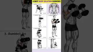 6 Biceps Isolation Workout To Build Stronger & Bigger Biceps| #workout #bicepsworkout