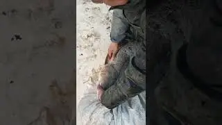 how to make fishing net #fishing #fishingvideo #catch #net