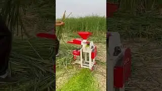 Grass-fed pigs are more expensive than beef. A machine that makes grass into pulp to feed pigs#