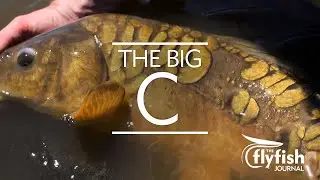 THE BIG C: Flyfishing for Columbia River Carp with John Barlett