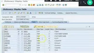 SAP Maintenance View