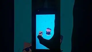 bibi pet sjwjdkwtv🟣