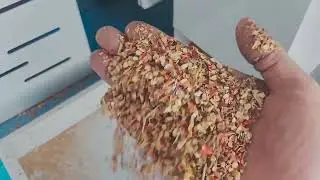 Large chili seed cleaning machine! Removes chili peels stalks crushed grains stones！#chiliseeds