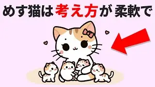 【1割しか知らない】メス猫の雑学と知られざる秘密 #雑学 #豆知識 #トリビア