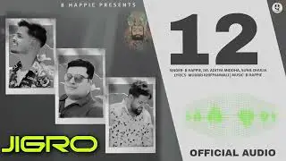 Jigro | जिगरो | B Happie | Dr. Aditya Middha | Sunil Dhulia | New Baba Ramdevji Song2024|Happy Singh