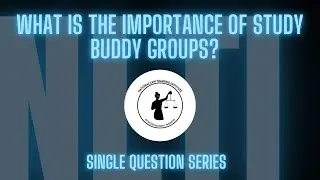What is the importance of study buddy groups?