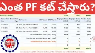 EPF Employee & Employer Share details telugu | PF ఎంత కట్ చేస్తారూ  |