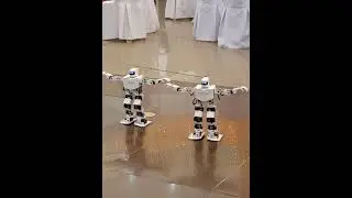 #dancingrobots❤️❤️❤️