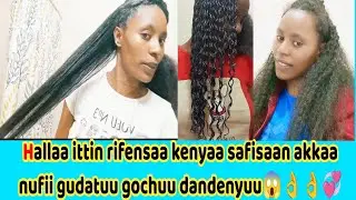 Hallaa ittin rifensaa kenyaa safisaan akkaanufii gudatuu gochuu dandenyuu😱👌👌💞