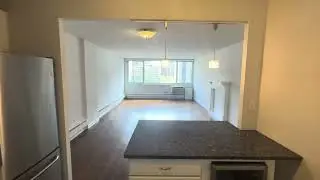 1344 N Dearborn #10A  |  Updated 1-Bedroom Apartment in the Gold Coast