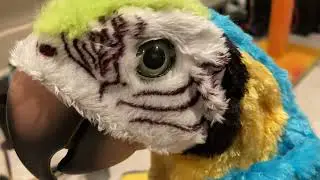 FurReal Friends Squawkers McCaw Parrot Head Motor Stuck Part 5