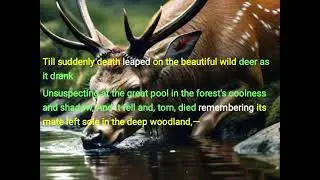 #Marathi #Explanation of the poem The Tiger and the Deer by Sri Aurobindo in Marathi