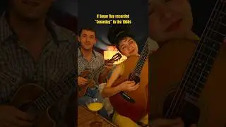 Sugar Ray cover in a 1960s Everly Brother style. #90s #90smusic #acousticcover