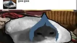 Gwa gwa lancer