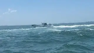 WATCH: Authorities stop runaway boat in Sarasota after driver falls overboard