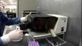 Is the Blood Supply Safe?