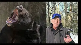The Lake by Locals: Black bears and Winter in South Lake Tahoe with Toogee Sielsch
