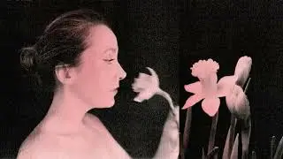 Dominique Charpentier & Illuminine - Lamentation