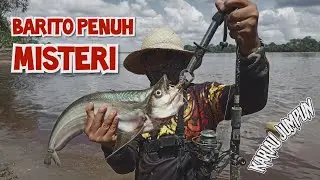 CASTING IKAN LAIS TABIRING/TEMBIRING DI SUNGAI BARITO PEDALAMAN KALIMANTAN
