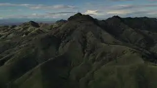 DJI Mavic air 2,  A Red-Tailed Hawk checks out drone