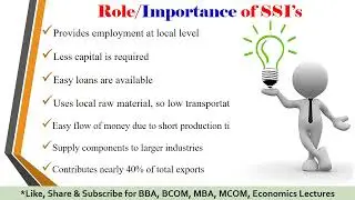 Small Scale Industries | SSI | problems faced by small scale industries | Economics