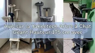Avis sur la Yaheetech Arbre &agrave; Chat G&eacute;ant Hauteur 175 cm avec 2 Plate-Formes Perch&eacute;s 2 Paniers 2 Cond