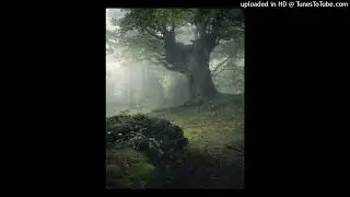 [free] boofpaxkmooky + neiburr + dreamplugg type beat 