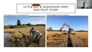 Buying Time With Runnels: A Climate Adaptation Tool for Salt Marshes
