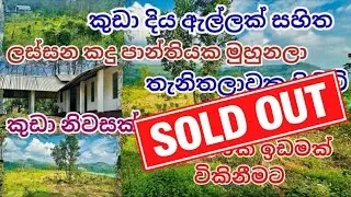 9 Acres Tea And Rubber Land Sale In Avissawella 