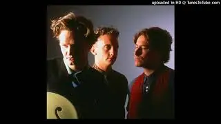 The Big Dish - Birdland