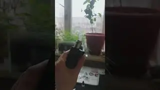subnoto twelve + axial pro rda