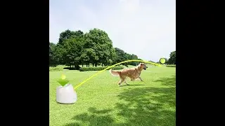 Automatic Ball Launcher Dog Ball Thrower Machine
