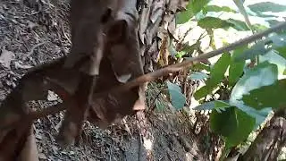 Vawin tumbu ka khawrh na