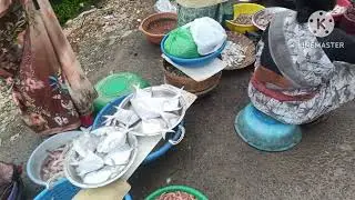 Revdanda jetty morning fish market 🐟🐠#trending #video #revdanda #foryou #foryoupage #tourism