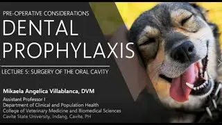 Lecture 5.6 Dental Prophylaxis Pre-operative Considerations