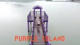 PURPLE ISLAND OF SHINAN GUN, SOUTH KOREA