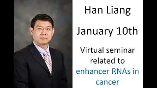 enhancer RNAs in cancer, seminar by Han Liang ( 