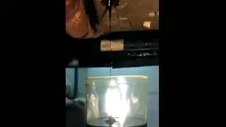 Деградация моторного масла. Degradation of engine oil.