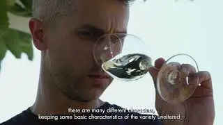 35 PODCAST CRETE CASE of VIDIANO