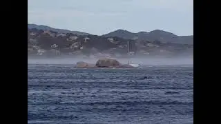 CYCLONE POPPEA: BOAT ADRIFT IN PORTO-VECCHIO (CORSICA)