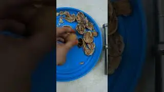 Walnut Shells uses, Akhrot ke chilke na fenkhe, plants