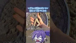こんなでかい〇〇初めてみたｗｗｗ#ポケモンsv #料理