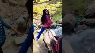 Terrorist Attack in Pahalgam, Kashmir ( We escaped ) But no hate for Kashmiri People 💯 #shorts
