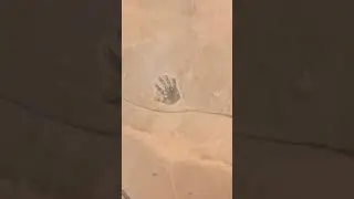 Big hand print on Google map 😱#weird things caught on Google Map#hand print#19#Shorts