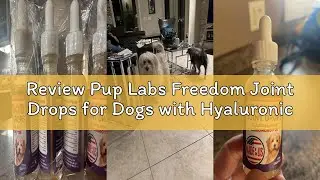 Review Pup Labs Freedom Joint Drops for Dogs with Hyaluronic Acid, MSM, Glucosamine, & Chondroitin,